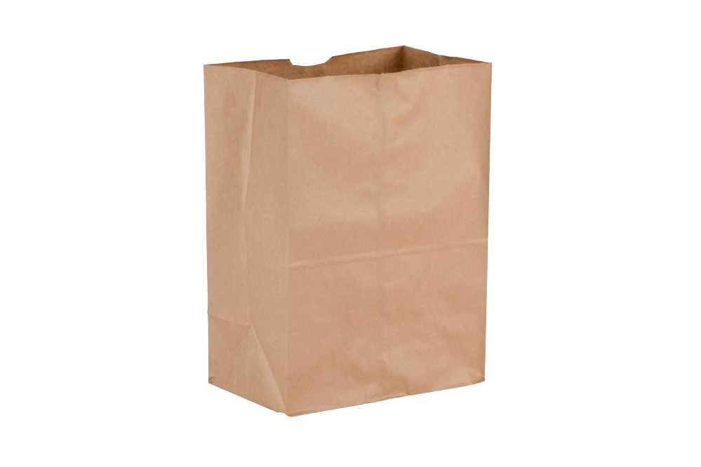 20W/F BROWN PAPER BAG